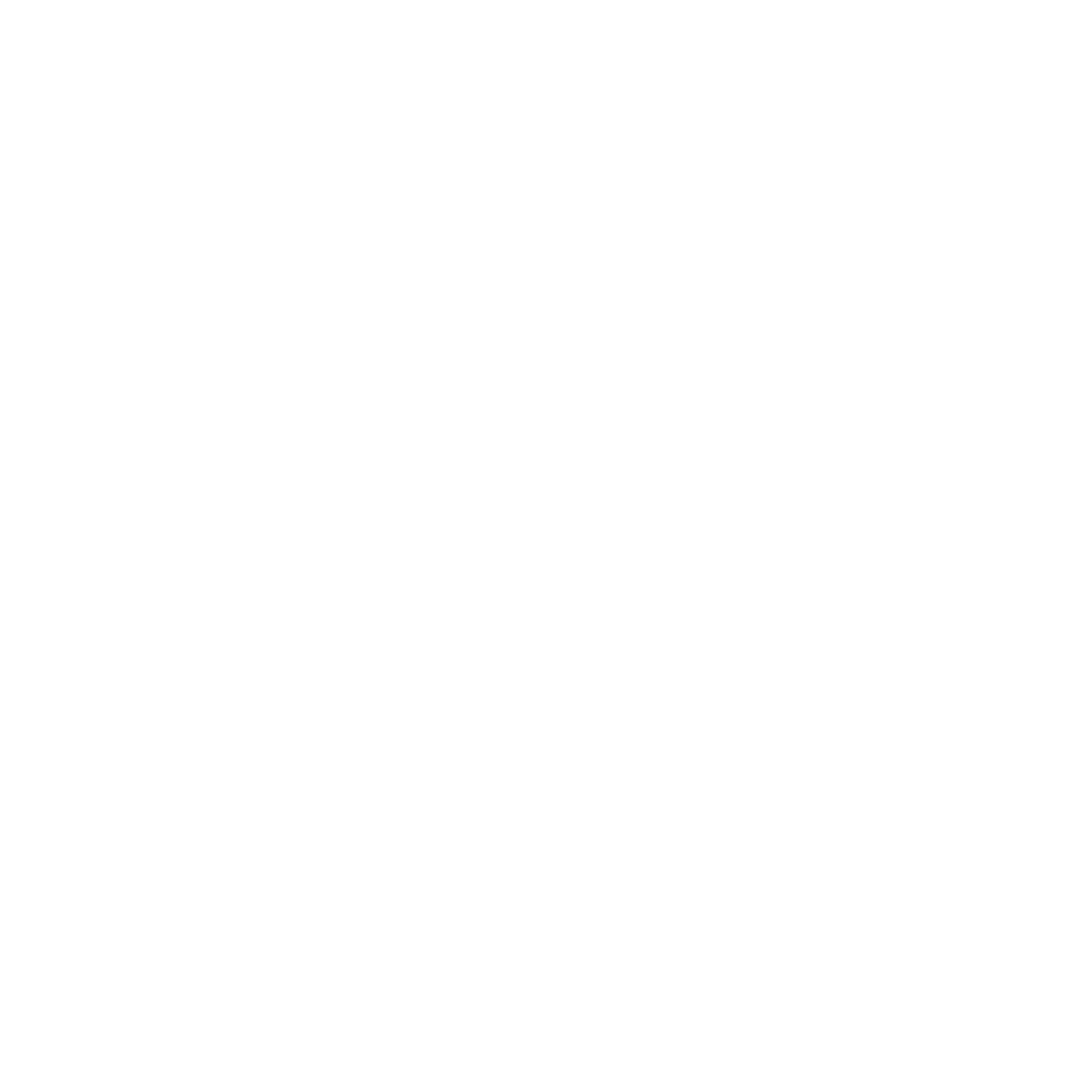 haldiram client logo